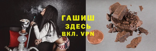 мдпв Новозыбков