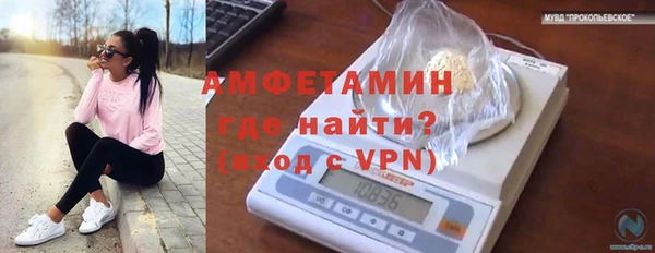 прущая мука Новодвинск