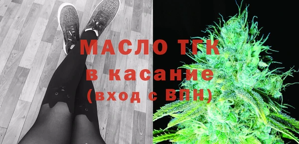 мдпв Новозыбков