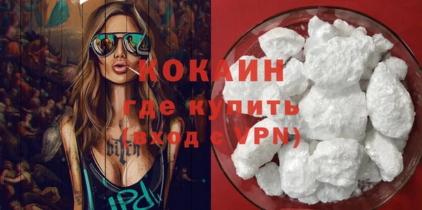 мдпв Новозыбков