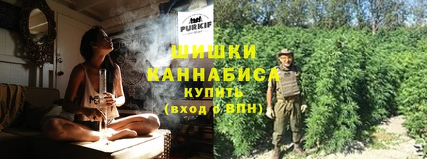 мдпв Новозыбков
