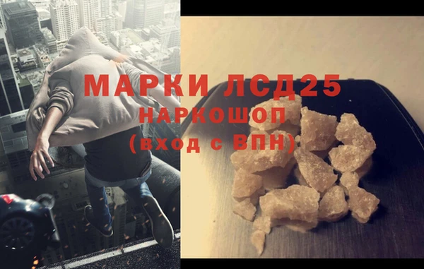 мдпв Новозыбков