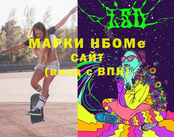 мдпв Новозыбков