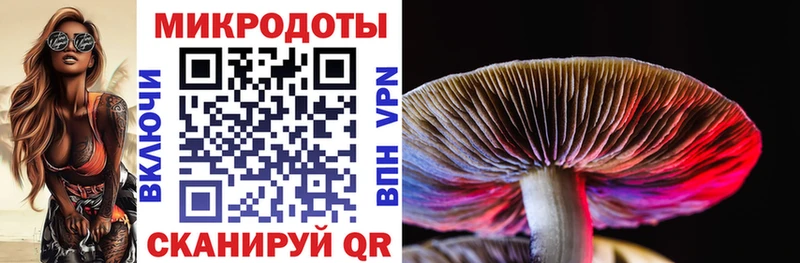 Купить  Спасск-Рязанский  Галлюциногенные грибы GOLDEN TEACHER 